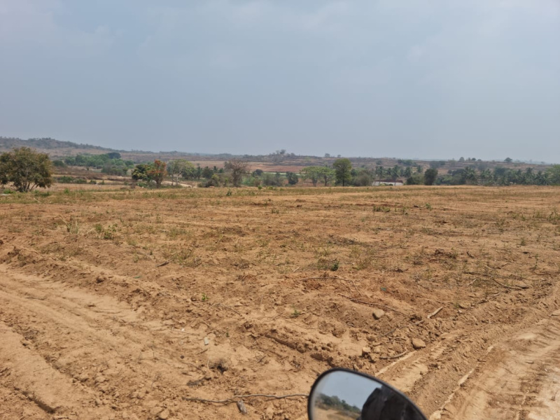  43560 Sq.ft. Agricultural/Farm Land for Sale in Denkanikottai, Krishnagiri