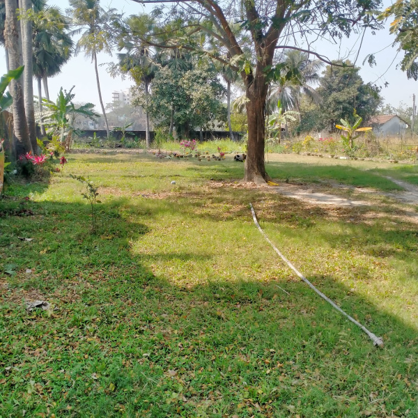  20000 Sq.ft. Commercial Land for Rent in Domjur, Howrah