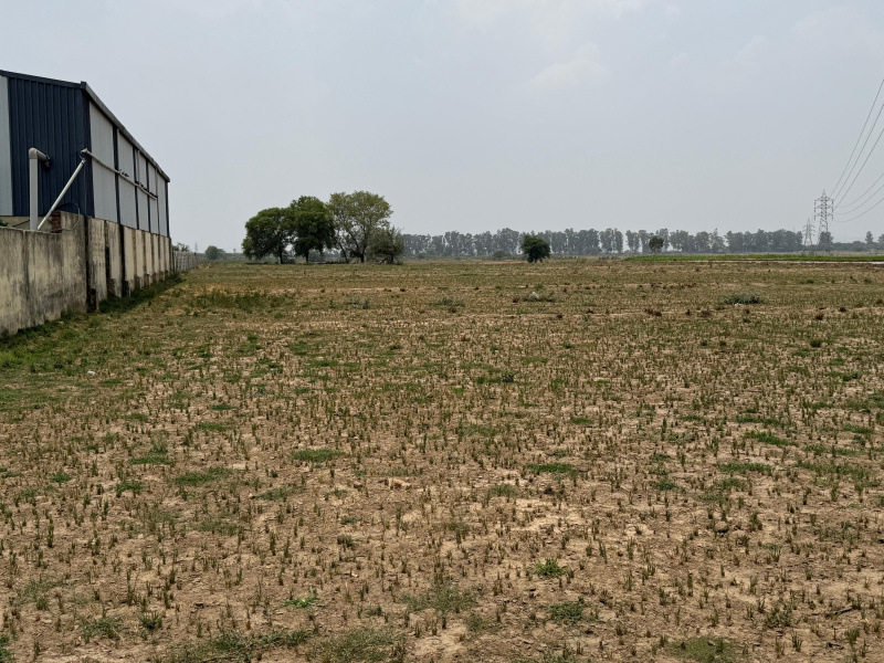 Shahzadpur, Ambala photo 3