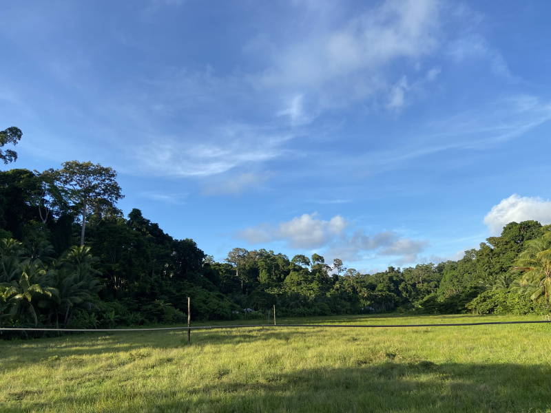  20234 Sq. Meter Residential Plot for Sale in Havelock Island, Andaman