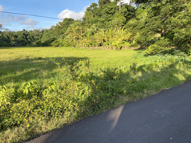  20234 Sq. Meter Residential Plot for Sale in Havelock Island, Andaman