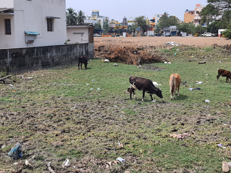  4800 Sq.ft. Residential Plot for Sale in Korattur, Chennai