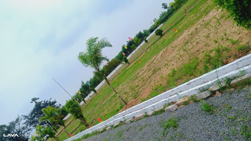 100 Sq. Yards Residential Plot for Sale in Burugupudi, Rajahmundry