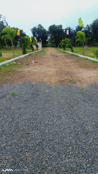  100 Sq. Yards Residential Plot for Sale in Burugupudi, Rajahmundry