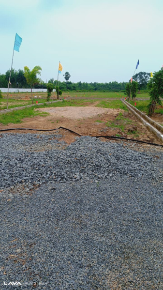  100 Sq. Yards Residential Plot for Sale in Burugupudi, Rajahmundry