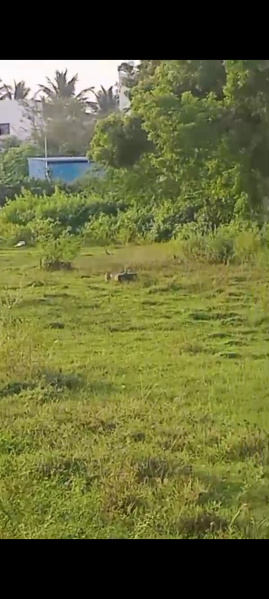  1 Cent Residential Plot for Sale in Kottar, Nagercoil, Kanyakumari