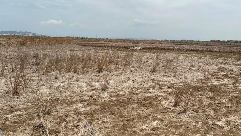  200 Sq.ft. Residential Plot for Sale in Uran, Navi Mumbai