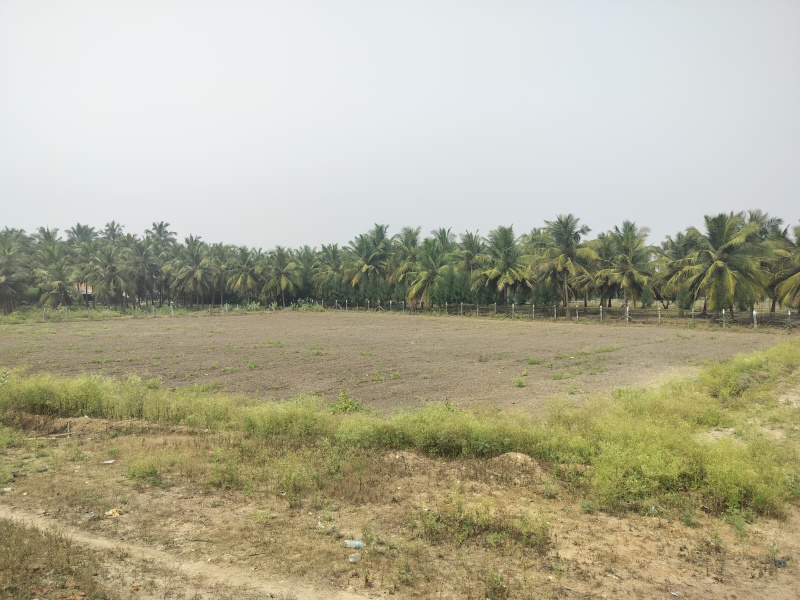  100 Cent Agricultural/Farm Land for Sale in Andipalayam, Tirupur