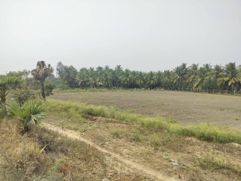  100 Cent Agricultural/Farm Land for Sale in Andipalayam, Tirupur