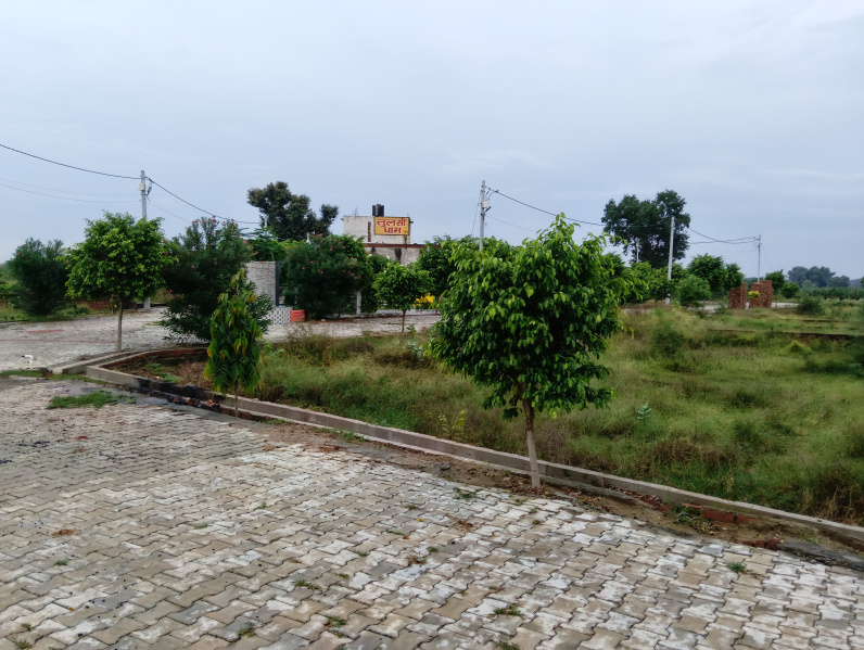  100 Sq. Yards Residential Plot for Sale in Agra Road, Hathras