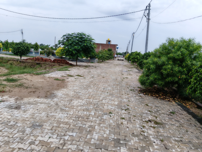  100 Sq. Yards Residential Plot for Sale in Agra Road, Hathras