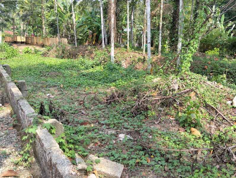  2178 Sq.ft. Commercial Land for Sale in Vallicode, Pathanamthitta