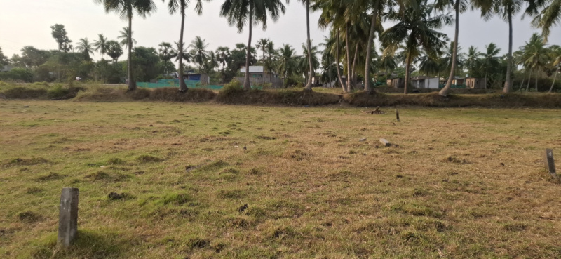  2 Cent Residential Plot for Sale in Pedana, Krishna