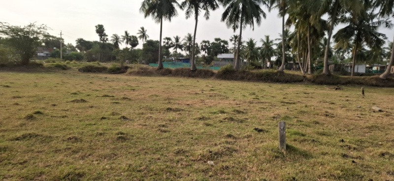  2 Cent Residential Plot for Sale in Pedana, Krishna