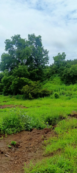 Dapoli, Ratnagiri photo 4