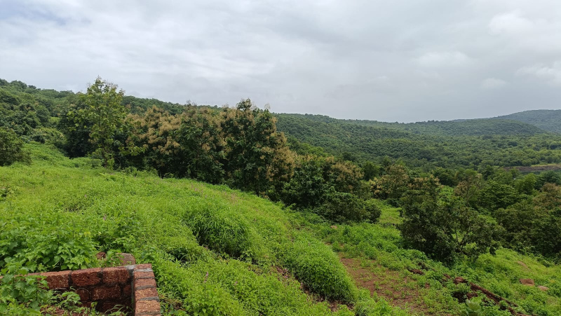 Dapoli, Ratnagiri photo 5