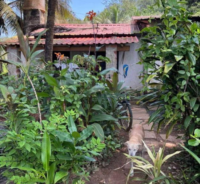 1 RK 300 Sq.ft. House for Rent in Pernem, Goa