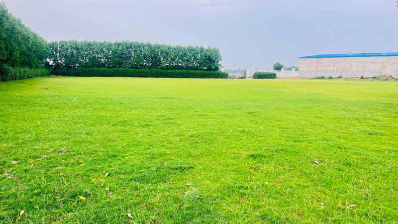  1000 Sq.ft. Residential Plot for Sale in Sultanpur Road, Lucknow