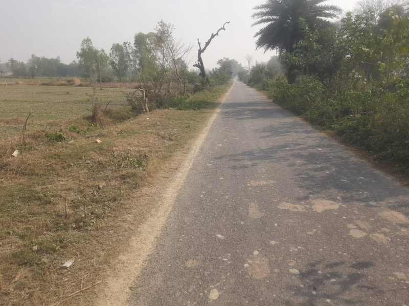  9500 Sq.ft. Agricultural/Farm Land for Sale in Sitapur Road, Sitapur Road, Lucknow
