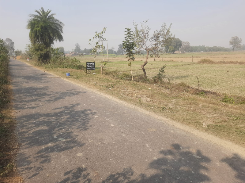  9500 Sq.ft. Agricultural/Farm Land for Sale in Sitapur Road, Sitapur Road, Lucknow