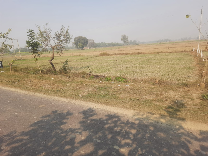  9500 Sq.ft. Agricultural/Farm Land for Sale in Sitapur Road, Sitapur Road, Lucknow