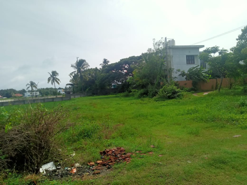 Kannadi, Palakkad photo 3