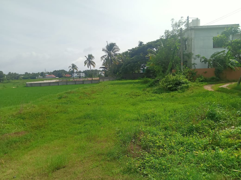Kannadi, Palakkad photo 4