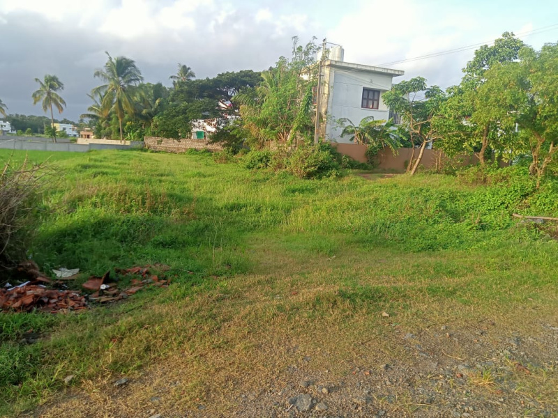 Kannadi, Palakkad photo 5