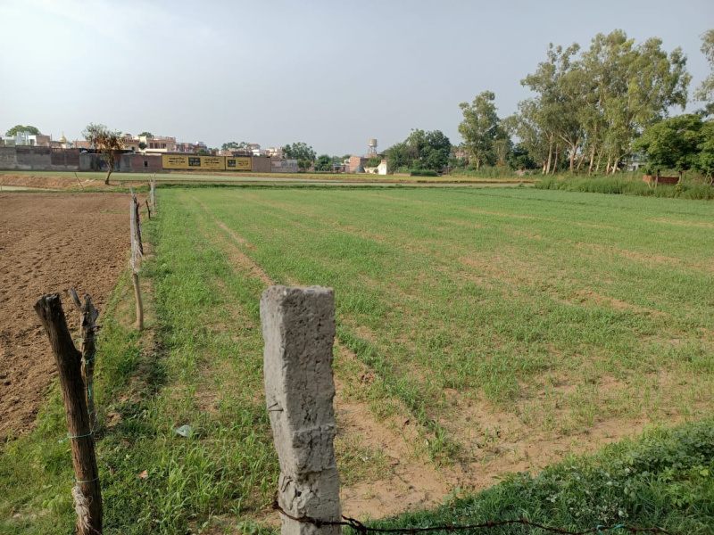  19500 Sq.ft. Agricultural/Farm Land for Sale in Morinda, Rupnagar