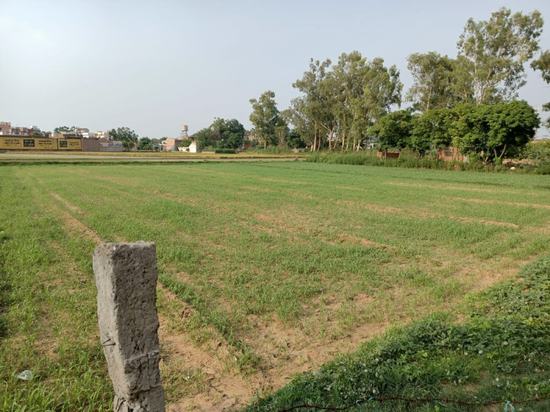  19500 Sq.ft. Agricultural/Farm Land for Sale in Morinda, Rupnagar
