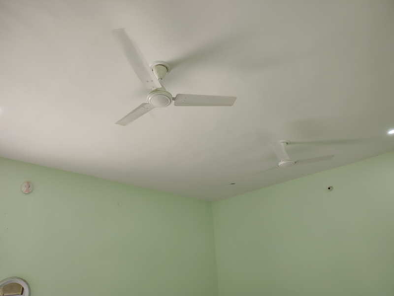 1 BHK 700 Sq.ft. House for Rent in Sector 14 Bahadurgarh