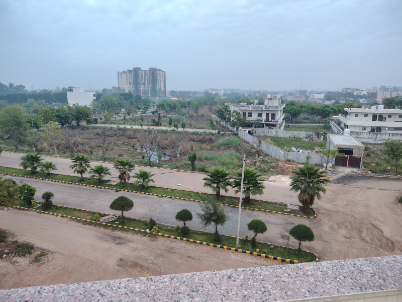 1 BHK 700 Sq.ft. House for Rent in Sector 14 Bahadurgarh