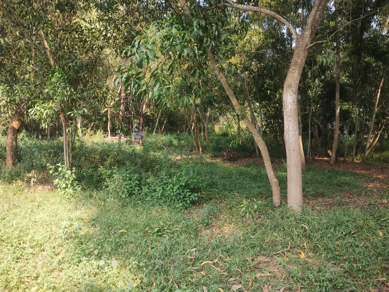  10 Ares Residential Plot for Sale in Khandapada, Nayagarh