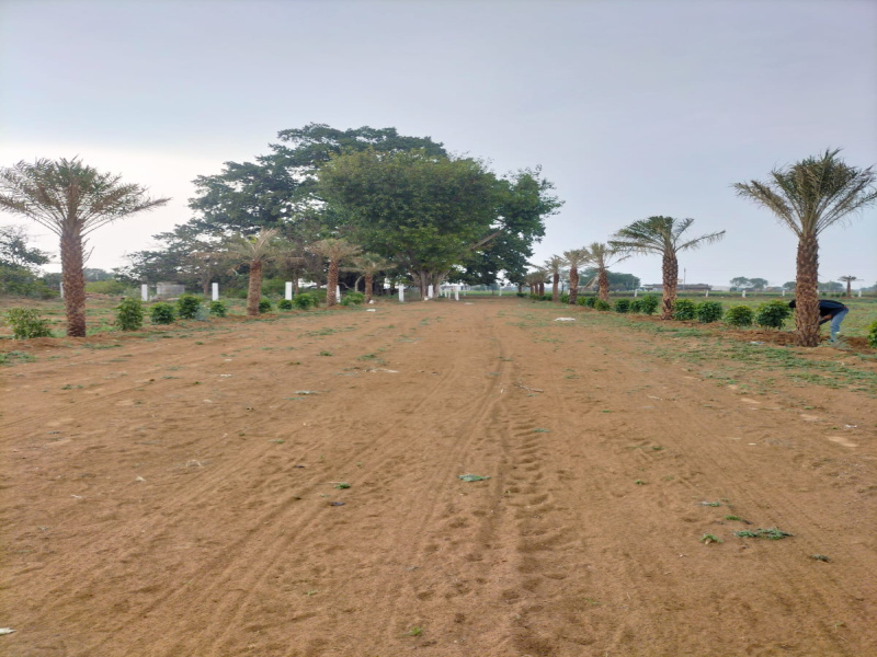 Lalsot, Dausa photo 4