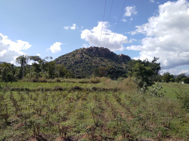  152461 Sq.ft. Residential Plot for Sale in Kanakapura, Bangalore