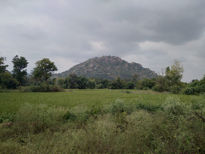  152461 Sq.ft. Residential Plot for Sale in Kanakapura, Bangalore