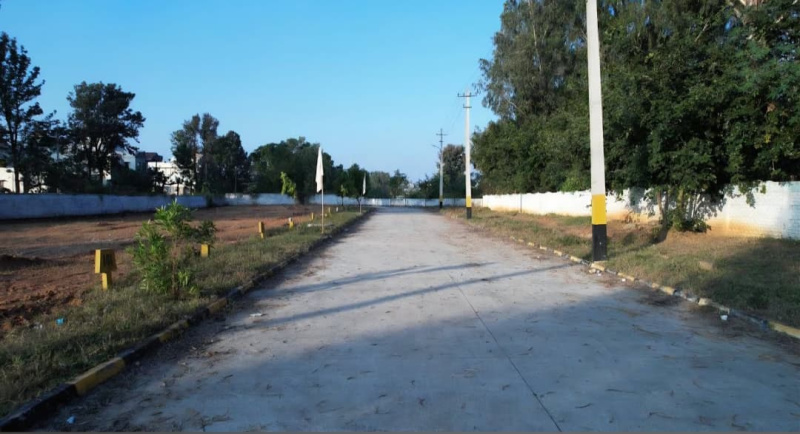  1200 Sq.ft. Residential Plot for Sale in Anekal Road, Bangalore