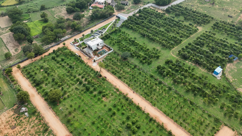  605 Sq. Yards Residential Plot for Sale in Mucherla, Hyderabad