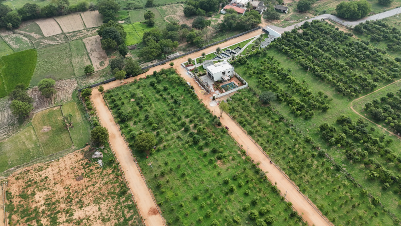  605 Sq. Yards Residential Plot for Sale in Mucherla, Hyderabad