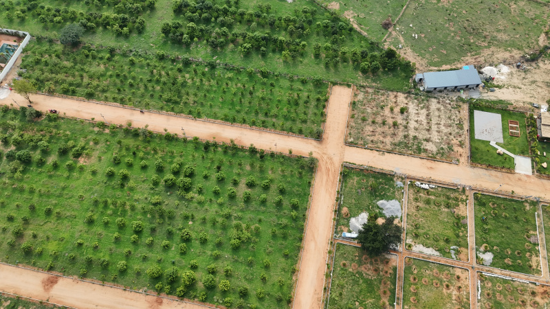  605 Sq. Yards Residential Plot for Sale in Mucherla, Hyderabad