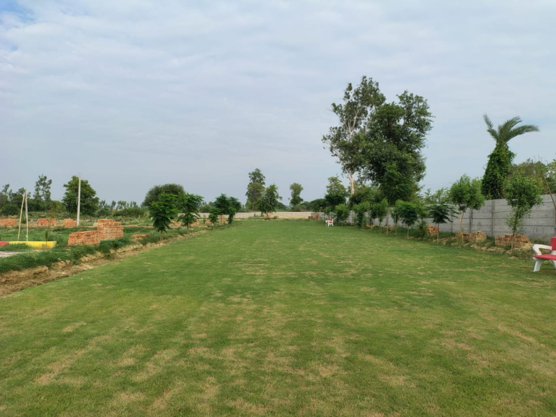  1000 Sq.ft. Residential Plot for Sale in Sultanpur Road, Lucknow