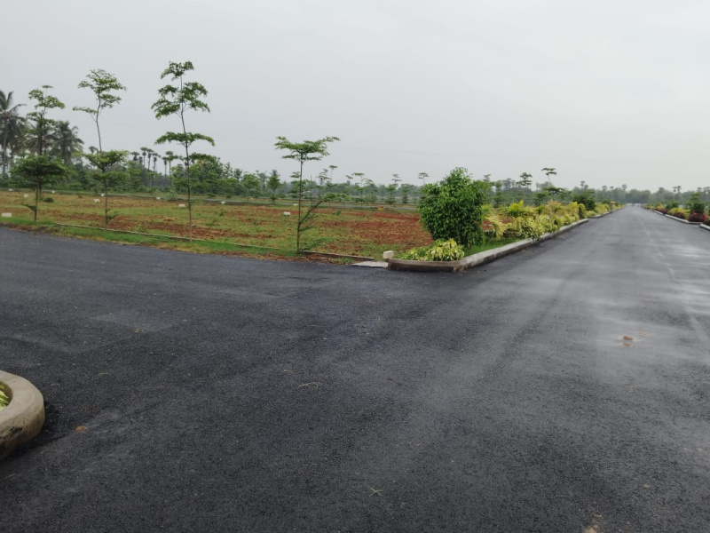  200 Sq. Yards Residential Plot for Sale in Bhogapuram, Visakhapatnam