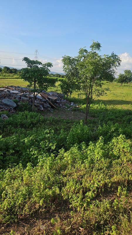  4 Acre Agricultural/Farm Land for Sale in Paithan, Aurangabad