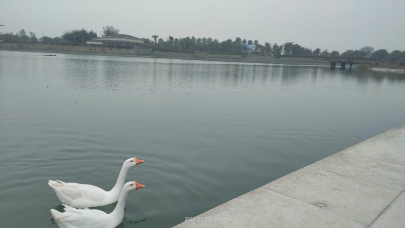  350 Sq. Yards Residential Plot for Sale in South City, Ludhiana