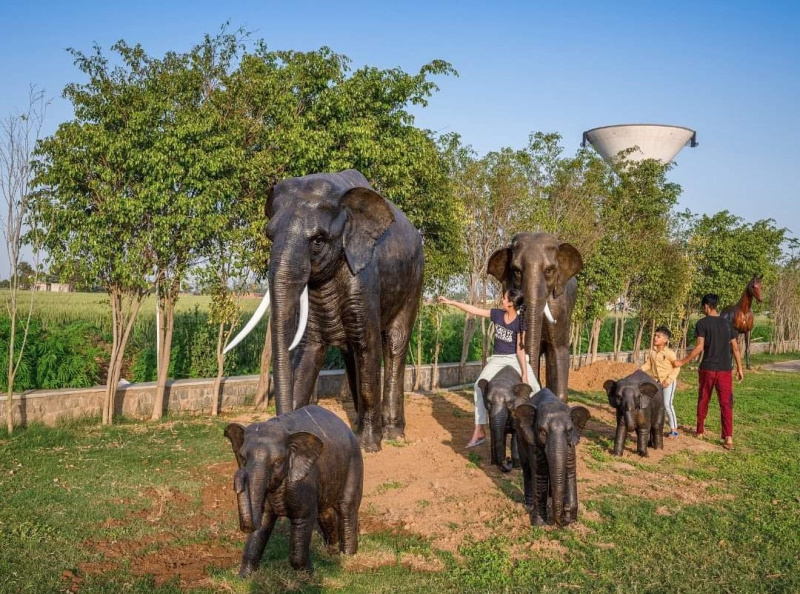  350 Sq. Yards Residential Plot for Sale in South City, Ludhiana