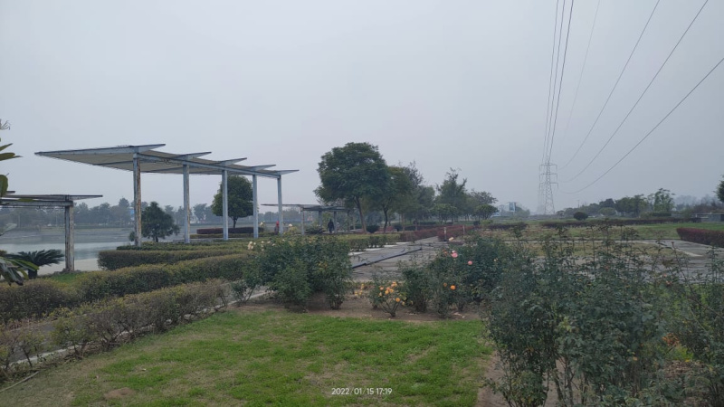  250 Sq. Yards Residential Plot for Sale in South City, Ludhiana