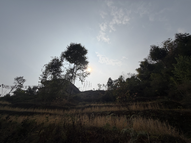  4000 Sq.ft. Commercial Land for Sale in Rumtek, Gangtok