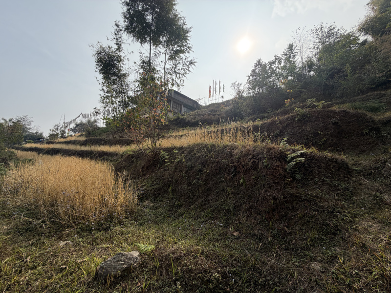  4000 Sq.ft. Commercial Land for Sale in Rumtek, Gangtok