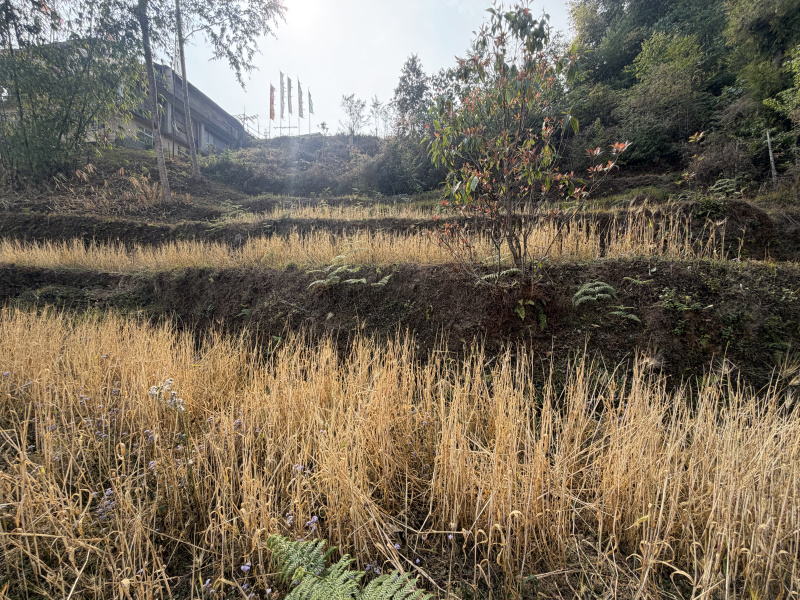  4000 Sq.ft. Commercial Land for Sale in Rumtek, Gangtok