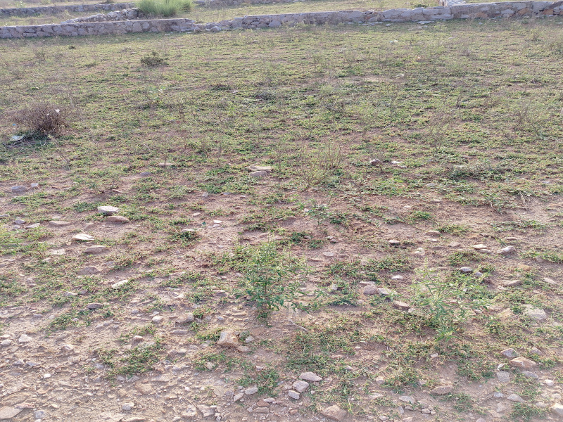  138 Sq. Yards Residential Plot for Sale in Kalwara, Jaipur